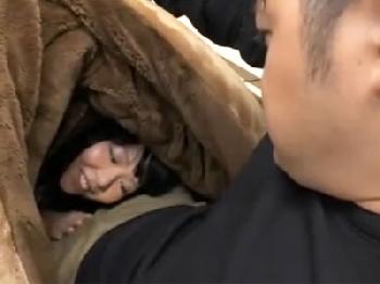 炬燵に潜り込んでいきり勃ったペニスを尺八ご奉仕してくれる美少女女子校生