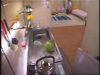 ぷっくり乳輪の巨乳娘と桃色SEX→ゴムなし挿入膣内発射