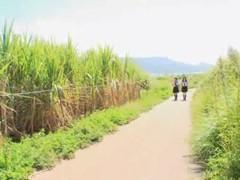 修学旅行先で迷子になった女子校生が地元民に性的凌辱される