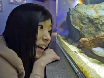 カップルデート＆ハメ撮り