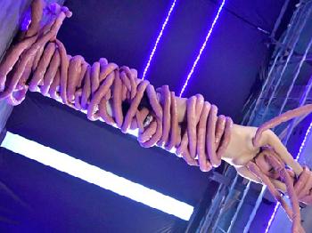 3DCGエロアニメを実写化!!エイリアンに陵辱される女盗賊!!