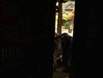 いくつになっても性的欲望は枯れないもの…年を経て更に感極まった熟女たち