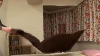 ちゃんと外に出して!!とお願いされていたのに気持ち良すぎてオメコへ挿入したまま射精したら怒り狂う