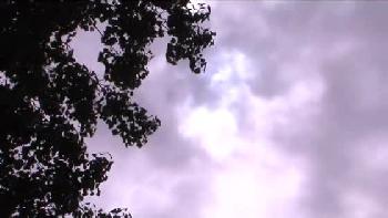 オナニー癖の抜けない女性会社員の為に止むを得ずペニス差出し